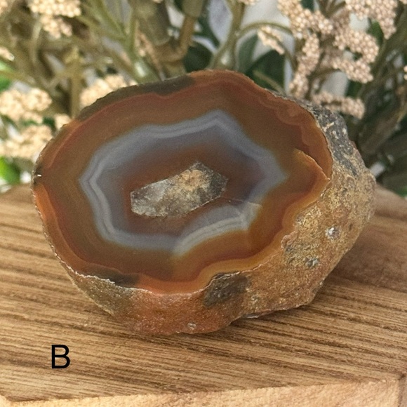 Coyamito Agate from Chihuahua Mexico - Picture 5 of 8